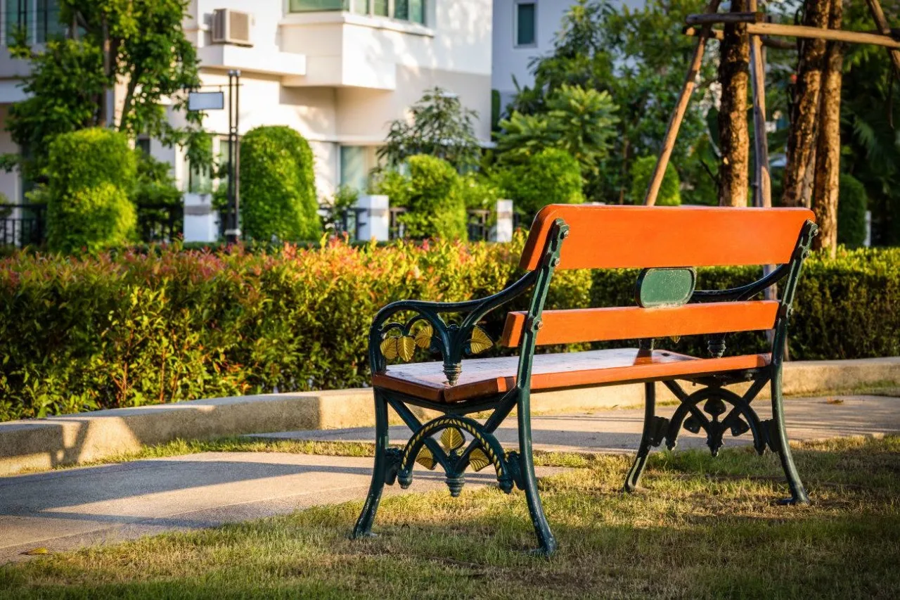 DeWatermark.ai_1742665278367 outdoor